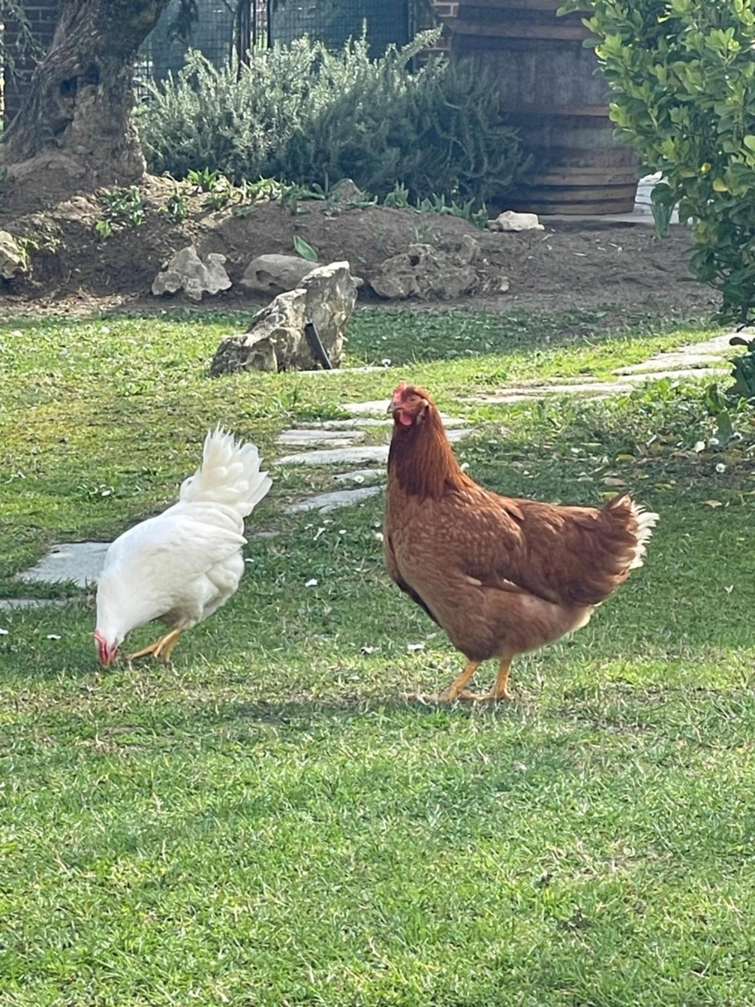 La Valle Incantata Villanova d'Asti 外观 照片